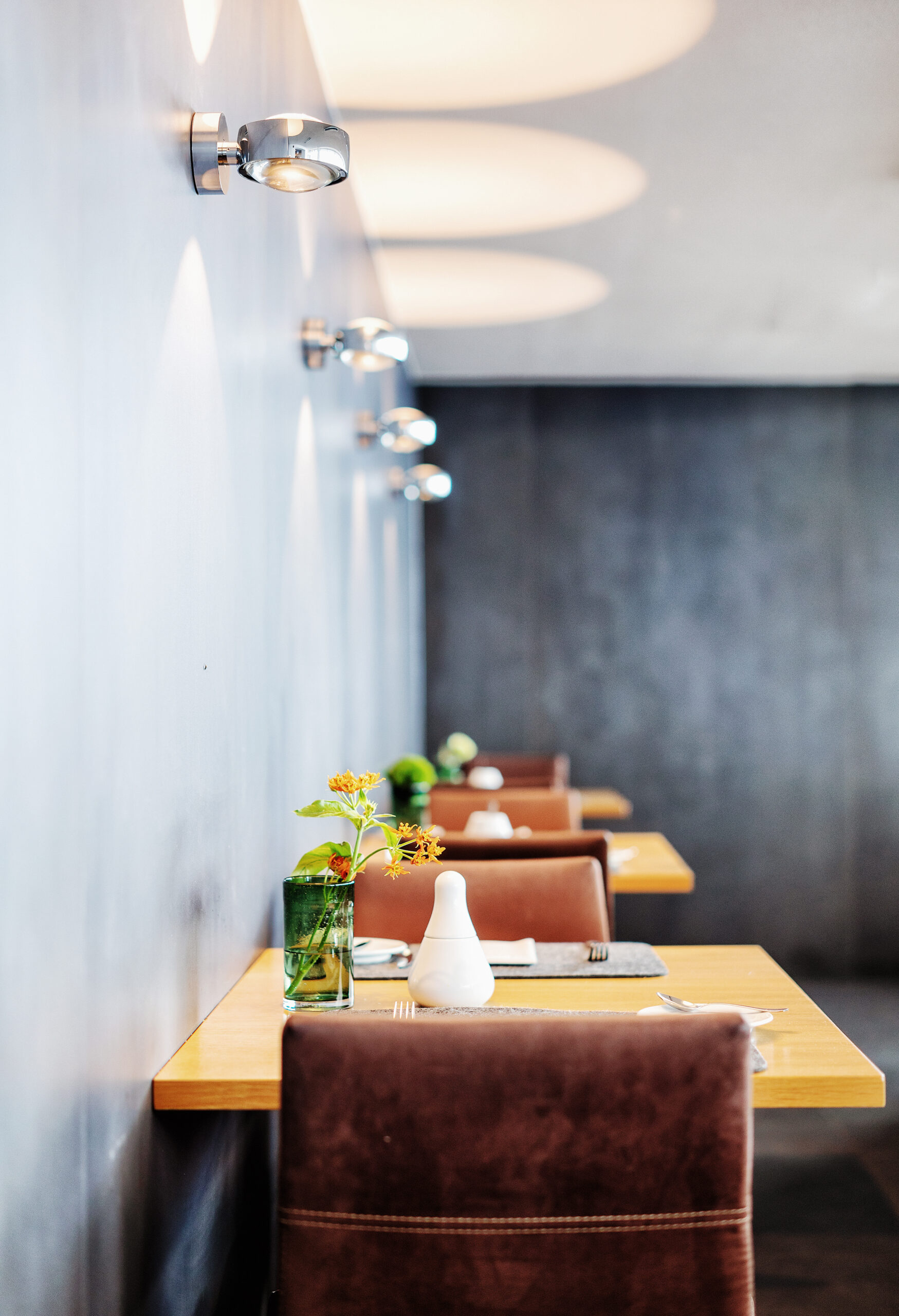 Hotel Litz, Hotel Seevital, SEO, Weber Grillakademie, Ritters Pasta NO 1, Langenargen