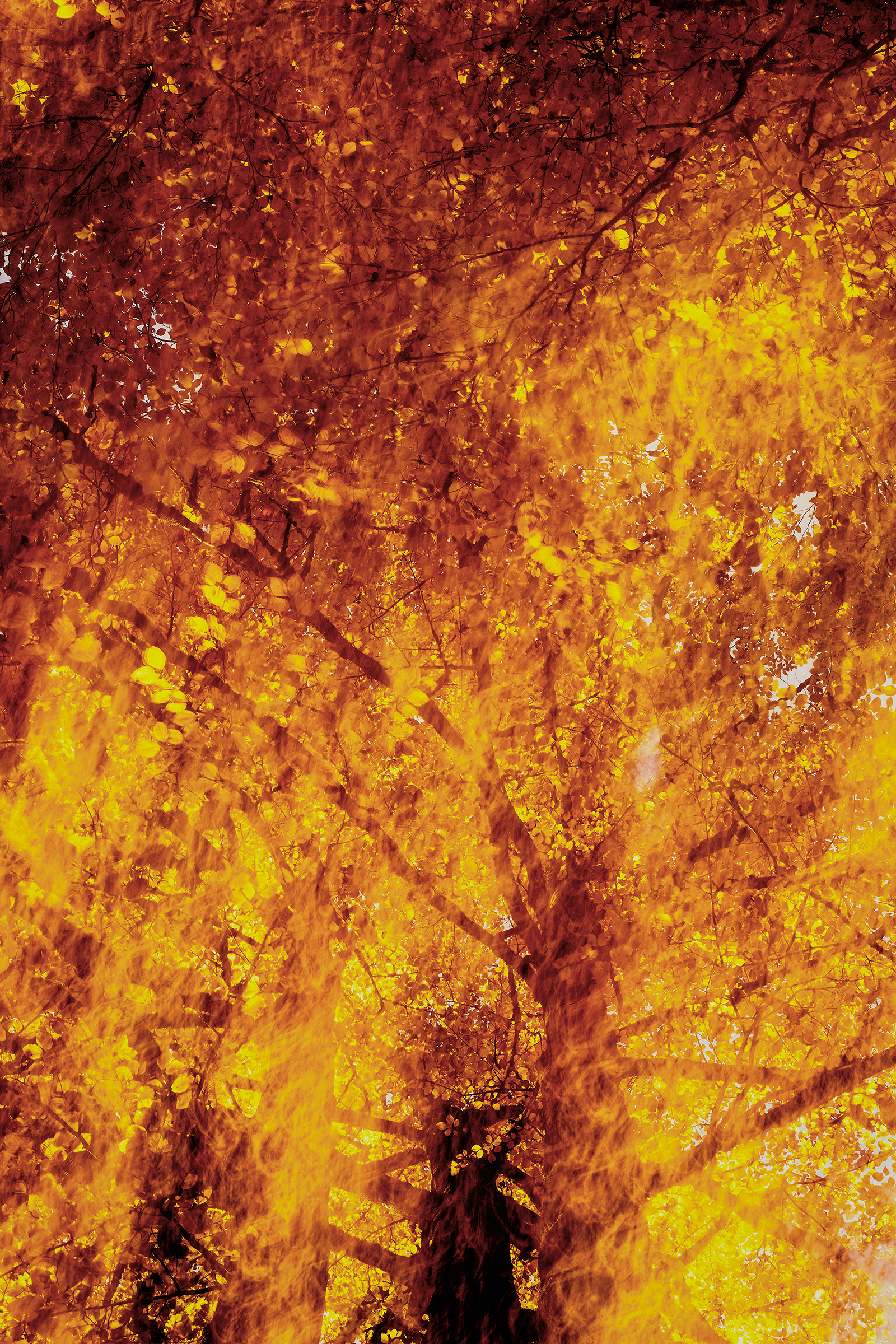 Last days of photography